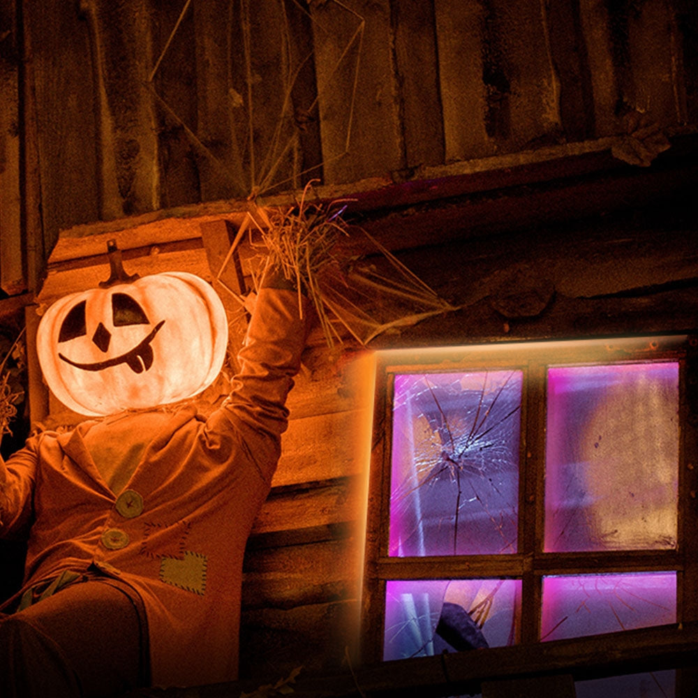 Tapo Smart Lighting & Motion Starter Kit, Tapo H100 + Tapo T100 + TL62-5