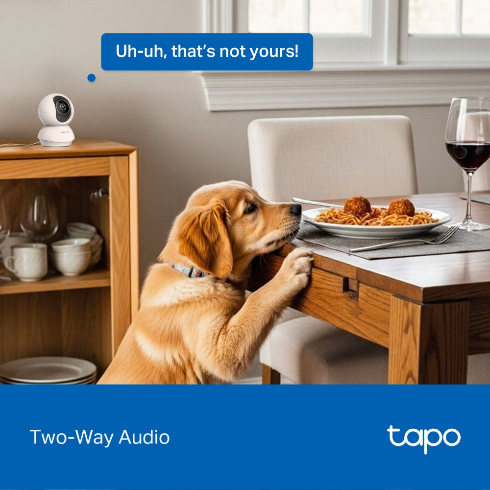 Tapo C250 |  Pan/Tilt AI Home Security Wi-Fi Camera