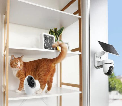 Pet Monitoring