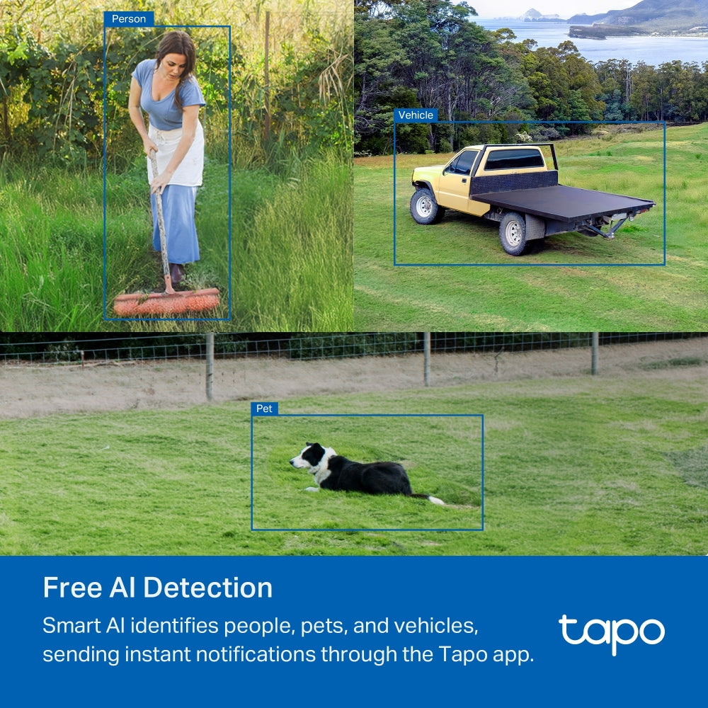 Tapo C501GW | Outdoor Pan/Tilt 4G LTE Camera, 1080P, Free AI Detection, IP66, Colour Night Vision