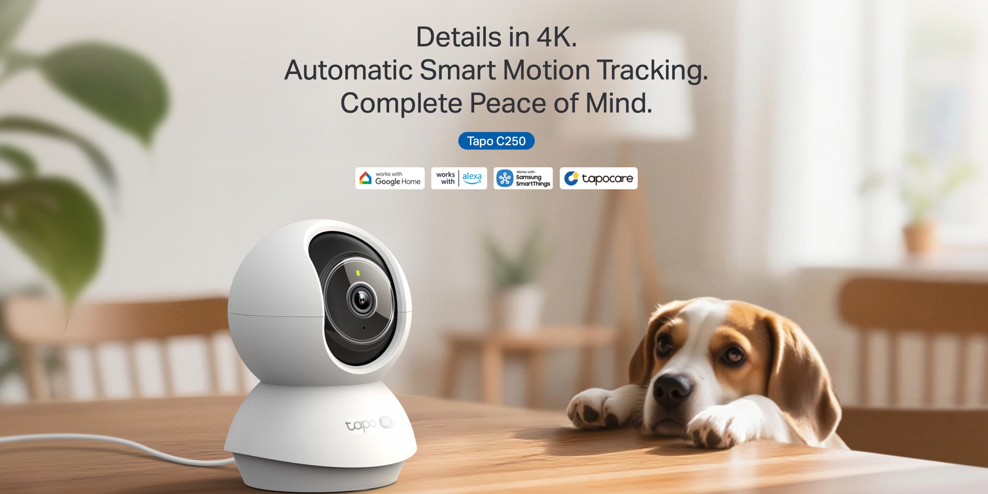 C250 Tp Link 250 Camera TP-Link VIGI C250 VIGI /4mm 5MP Full-Color
